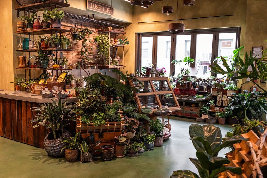 Hearth Food Garden, Lush Life