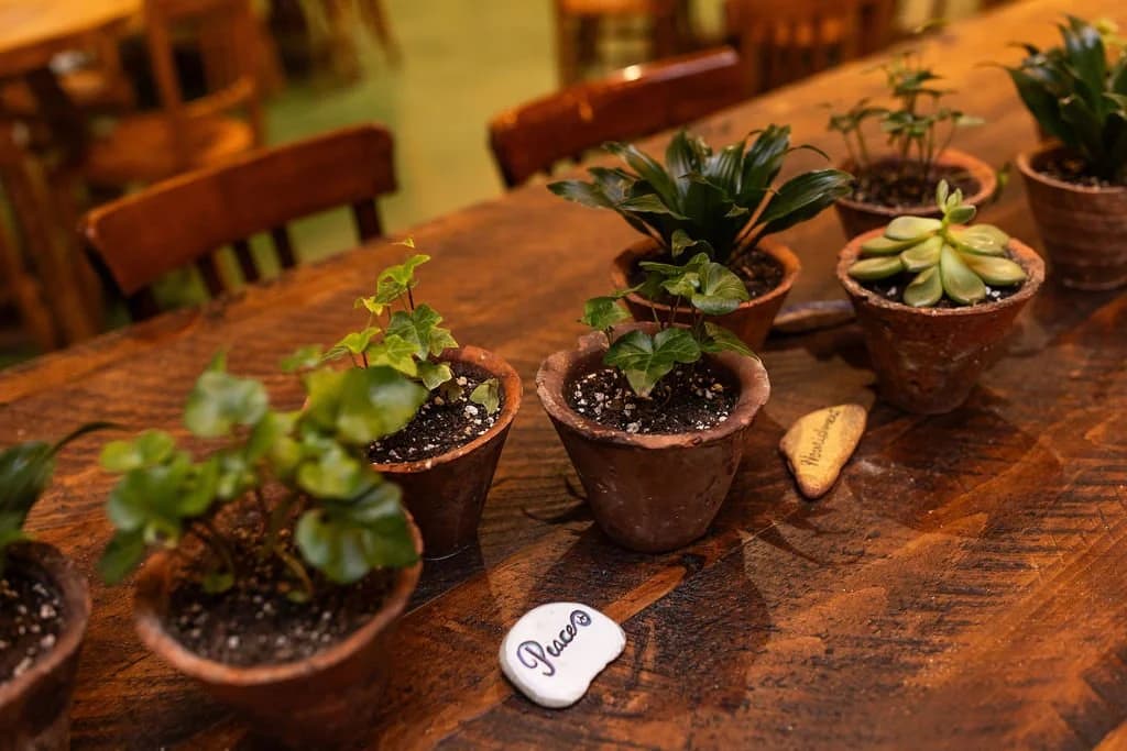 Hearth Food Garden, farm table plants and peace stone