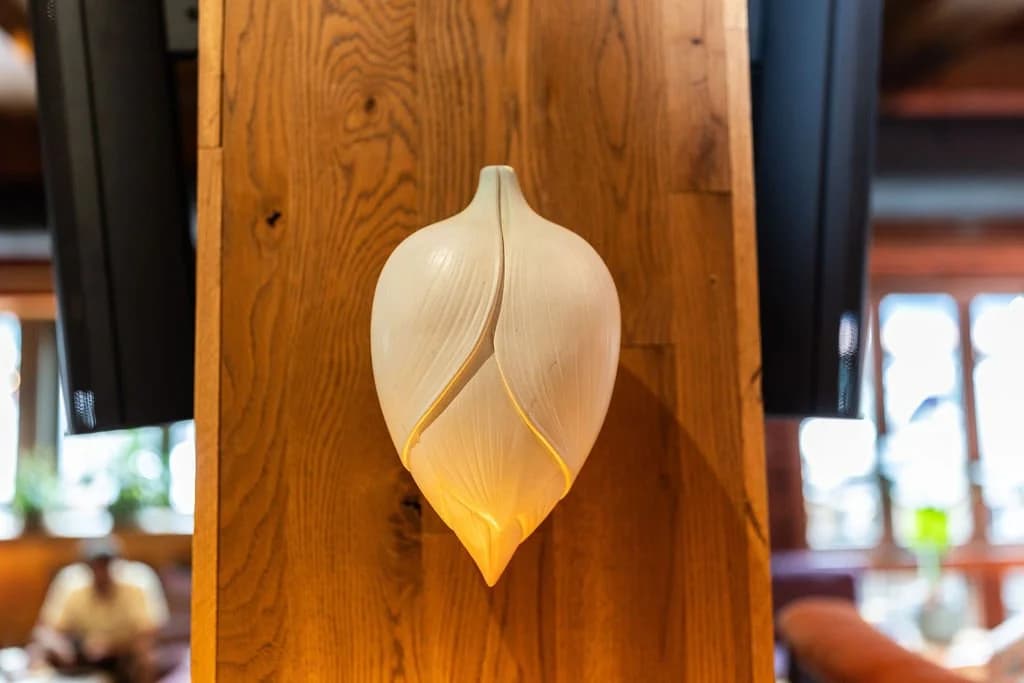 Hearth Food Garden, a seed head in the light
