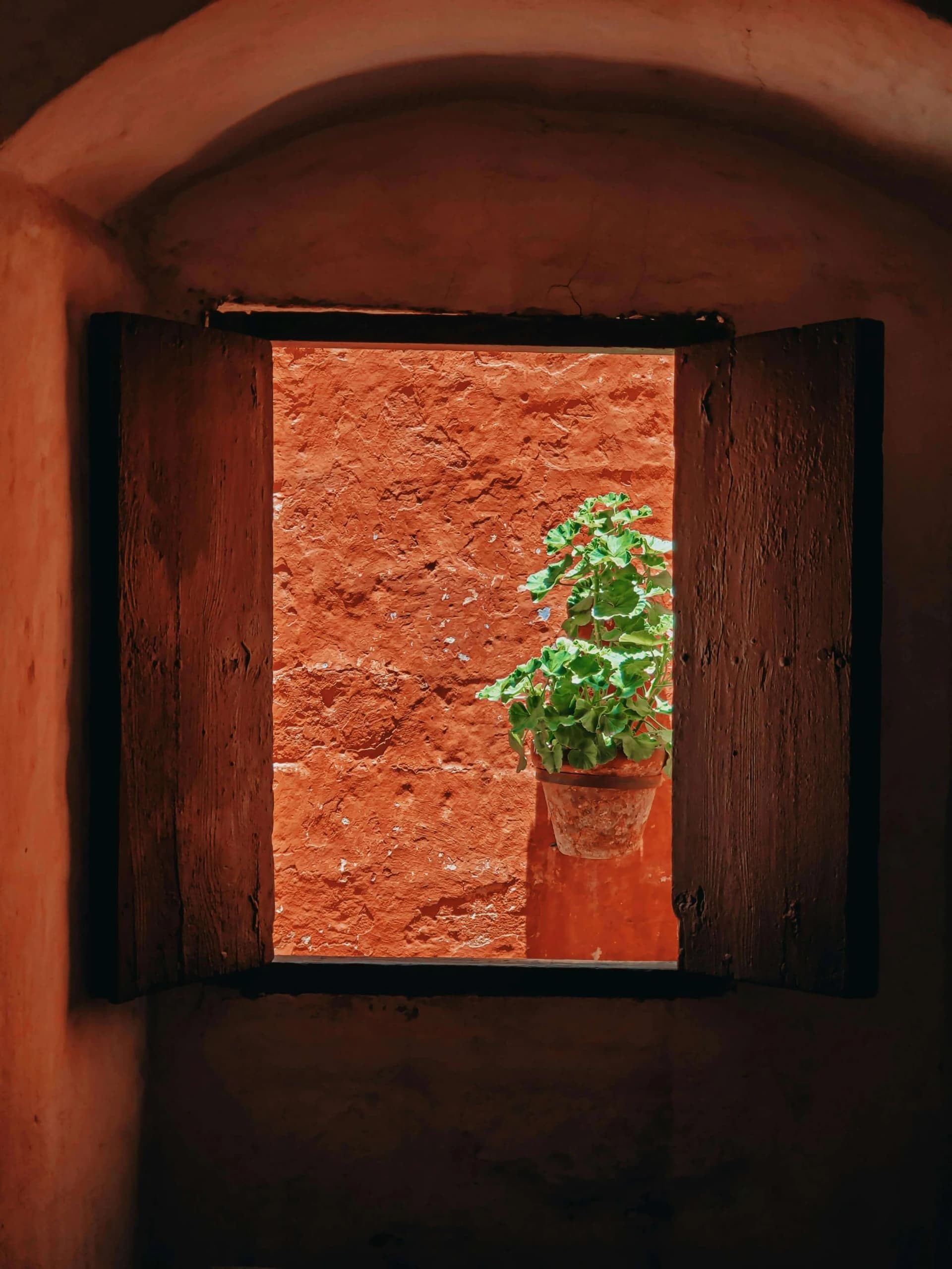 Hearth Food Garden, terracotta through the windows