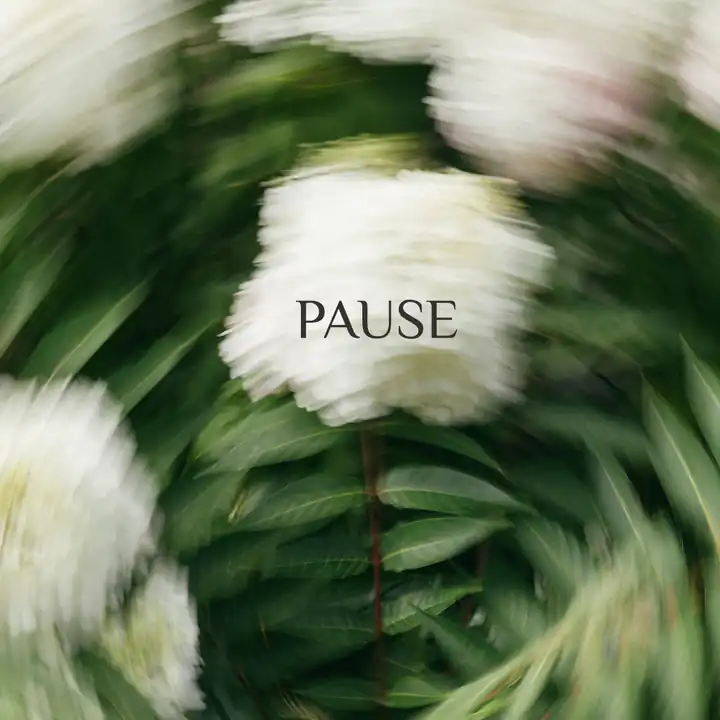 The Discipline of the Pause: What I Learned the Hard Way