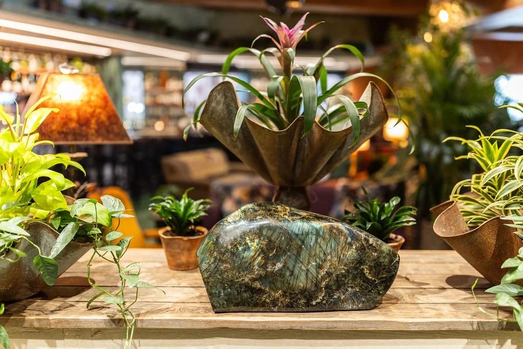 Hearth Food Garden, a plant and crystal